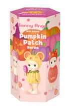 Load image into Gallery viewer, Sonny Angel FIGURES * NOT HIPPER * Single Blind Box