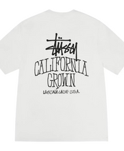 Load image into Gallery viewer, Stussy SS25 Tees/Hoodies