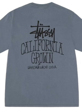 Load image into Gallery viewer, Stussy SS25 Tees/Hoodies