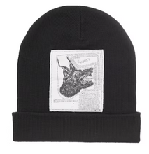 Load image into Gallery viewer, Supreme The North Face Beanie (FW24)
