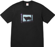 Load image into Gallery viewer, Supreme Damien Hirst Tee
