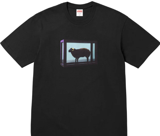 Supreme Damien Hirst Tee