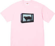 Load image into Gallery viewer, Supreme Damien Hirst Tee
