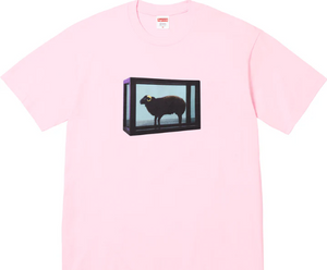 Supreme Damien Hirst Tee