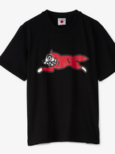 Load image into Gallery viewer, Ice cream
