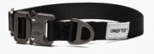 Undefeated Dog Leash/Collar