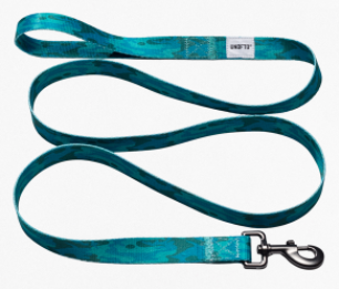 Undefeated Dog Leash/Collar