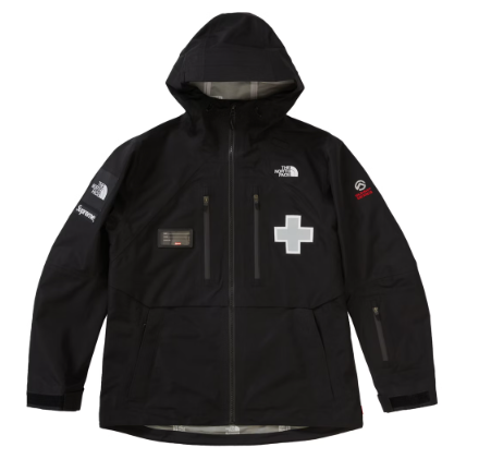 Supreme The North Face Summit Series Rescue Mountain Pro Jacket