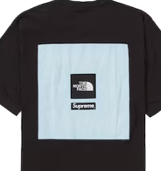 Supreme The North Face Bandana Tee