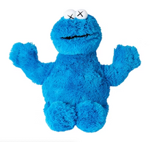 Load image into Gallery viewer, KAWS Sesame Street Uniqlo Plush Toy
