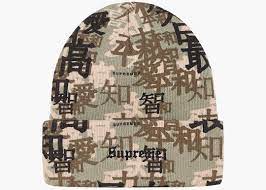 Supreme Kanji Camo Beanie