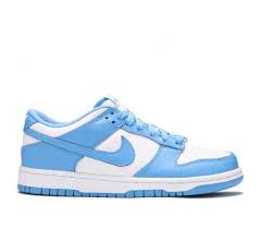 Nike Dunk Low UNC (21/24)