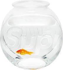 Supreme Fish Bowl Clear