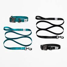 Load image into Gallery viewer, Undefeated Dog Leash/Collar
